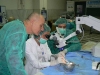 temporal-bone-course-ns-29