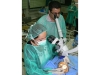 temporal-bone-course-ns-30